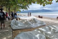 Kepala Desa Citepus, Koswara,