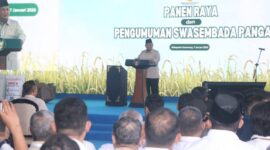 Pemerintah Kabupaten Sukabumi menerima penghargaan dari Presiden Republik Indonesia