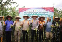 Panen Raya Jagung Serentak Kuartal I