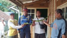 Dinas Pemadam Kebakaran dan Penyelamatan Kabupaten Sukabumi