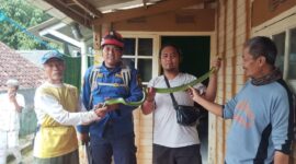 Dinas Pemadam Kebakaran dan Penyelamatan Kabupaten Sukabumi