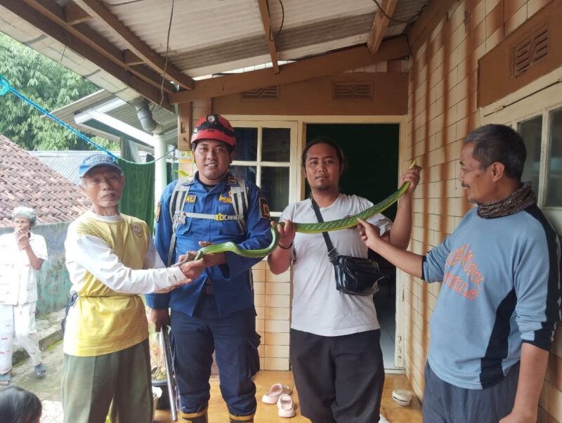 Dinas Pemadam Kebakaran dan Penyelamatan Kabupaten Sukabumi
