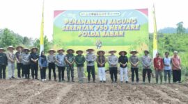 Dinas Pertanian Kabupaten Sukabumi mendukung pelaksanaan penanaman jagung