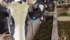 Puskesmas Sukalarang melaksanakan vaksinasi