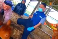 Dinas Peternakan Kabupaten Sukabumi