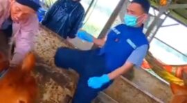 Dinas Peternakan Kabupaten Sukabumi