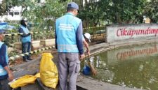 Aksi cepat Tim DLHK Zona 11B dinas terkait masih dinantikan.