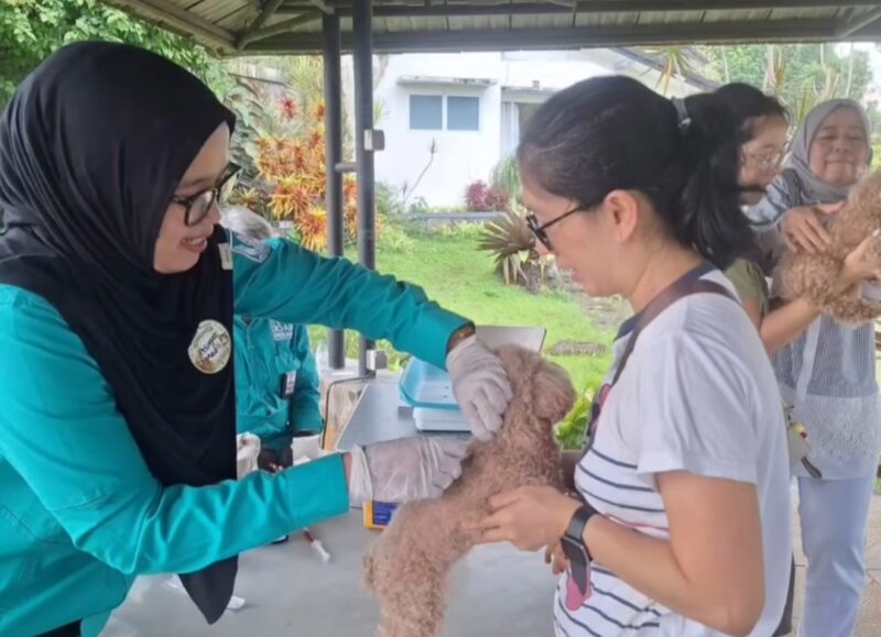 Upaya pencegahan rabies terus digencarkan 