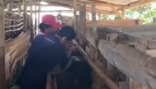 Dinas Peternakan Kabupaten Sukabumi melalui Tim Puskeswan Sukalarang 
