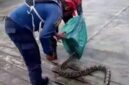 Respons cepat kembali ditunjukkan Dinas Damkarmat