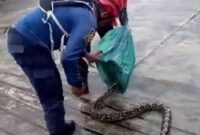Respons cepat kembali ditunjukkan Dinas Damkarmat