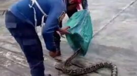 Respons cepat kembali ditunjukkan Dinas Damkarmat