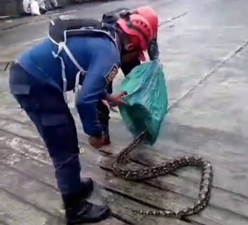 Respons cepat kembali ditunjukkan Dinas Damkarmat