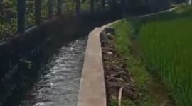 UPTD PU Wilayah Cibadak terus melakukan monitoring pembangunan Daerah Irigasi