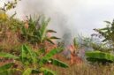 Disdamkarmat Kabupaten Sukabumi bergerak cepat menangani kebakaran lahan di Kampung Batusapi,