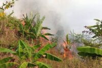 Disdamkarmat Kabupaten Sukabumi bergerak cepat menangani kebakaran lahan di Kampung Batusapi,