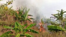 Disdamkarmat Kabupaten Sukabumi bergerak cepat menangani kebakaran lahan di Kampung Batusapi,