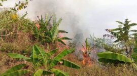 Disdamkarmat Kabupaten Sukabumi bergerak cepat menangani kebakaran lahan di Kampung Batusapi,