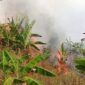 Disdamkarmat Kabupaten Sukabumi bergerak cepat menangani kebakaran lahan di Kampung Batusapi,
