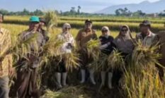 berita-pilihan-foto