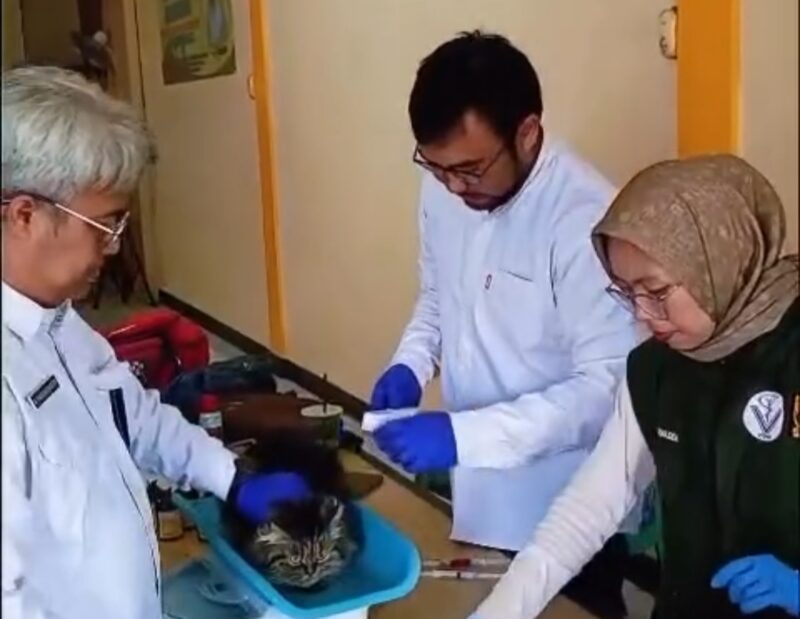 Puskeswan Wilayah III Cicurug, Dinas Peternakan Kabupaten Sukabumi.