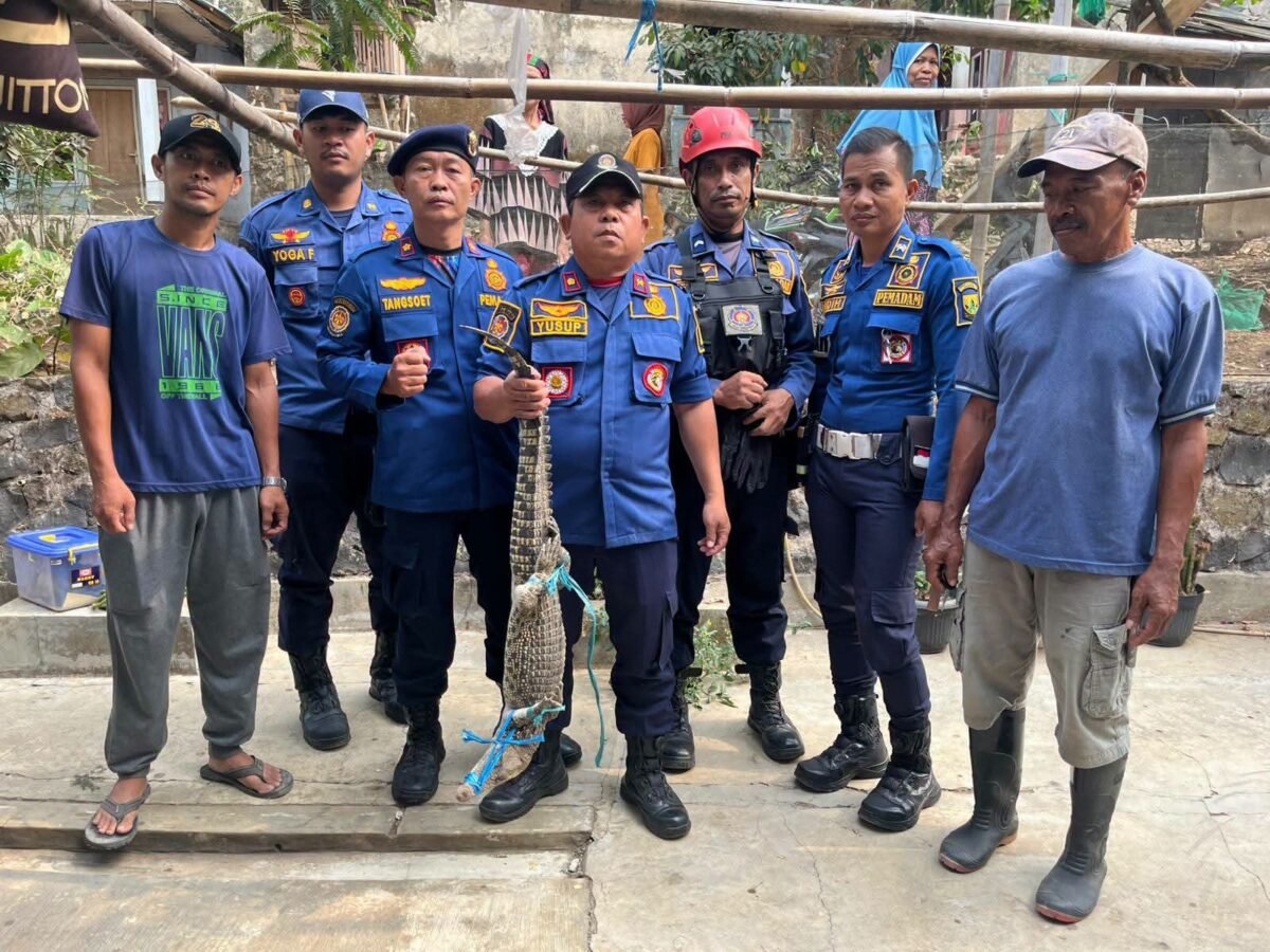 Dinas Pemadam Kebakaran dan Penyelamatan Kabupaten Sukabumi