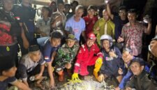 Satu ekor buaya sepanjang sekitar 3 meter dengan berat diperkirakan 70 kilogram