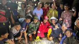 Satu ekor buaya sepanjang sekitar 3 meter dengan berat diperkirakan 70 kilogram