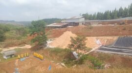 Konflik kerja sama pengolahan emas di Desa Waluran.