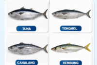 Dinas Perikanan Kabupaten Sukabumi